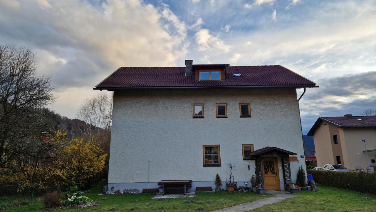 Angerpartments-Sonnige Grosse Wohnung Mit Balkon Und Kostenlosen Parkplatz デーブリアッハ エクステリア 写真